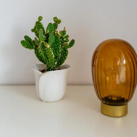 شقة Dabrowskiego Old Town By Bookinghost